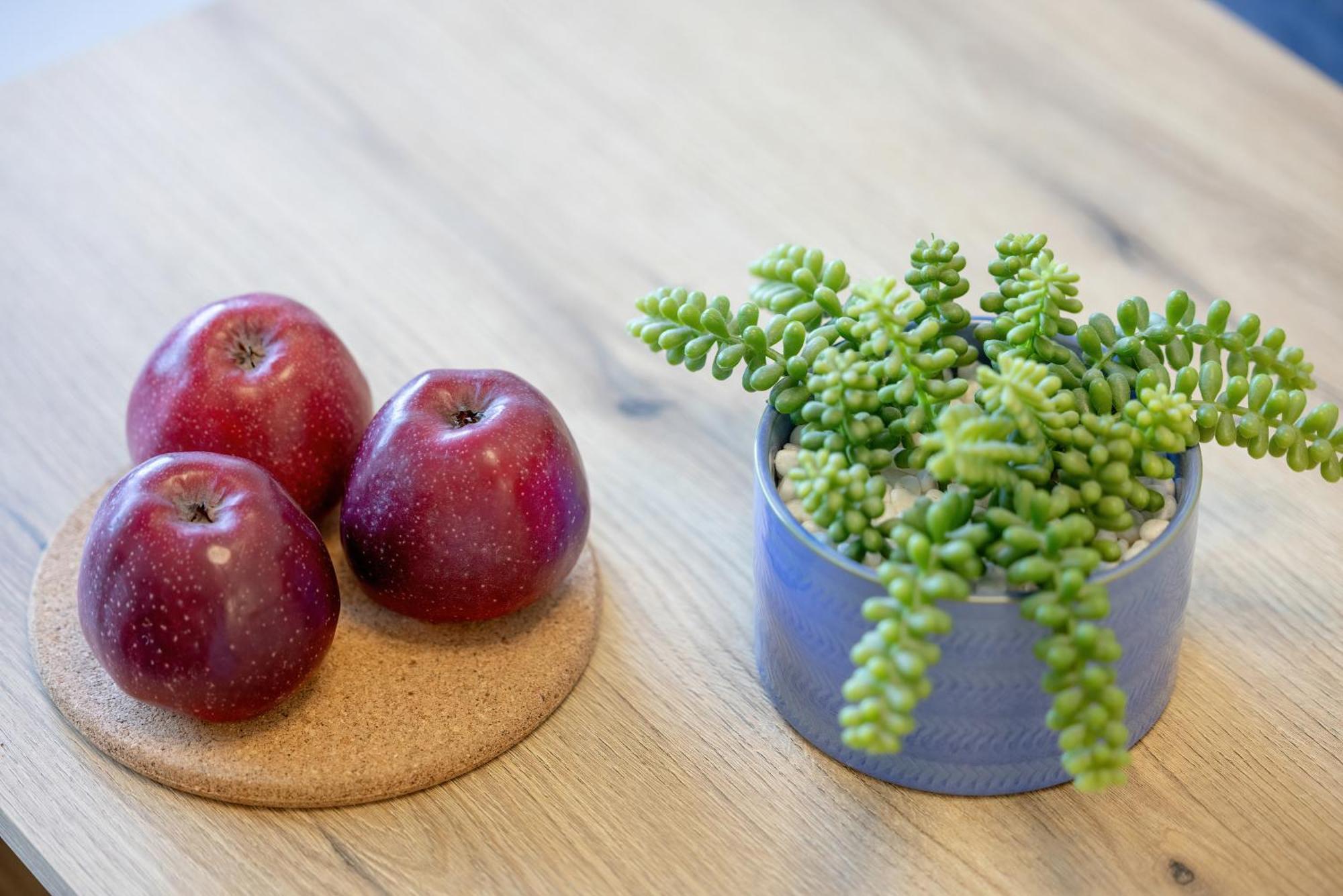 Prestizowe Apartamenty Natural Darlowko By Noclegi Renters Ujście-Darłowskie Εξωτερικό φωτογραφία